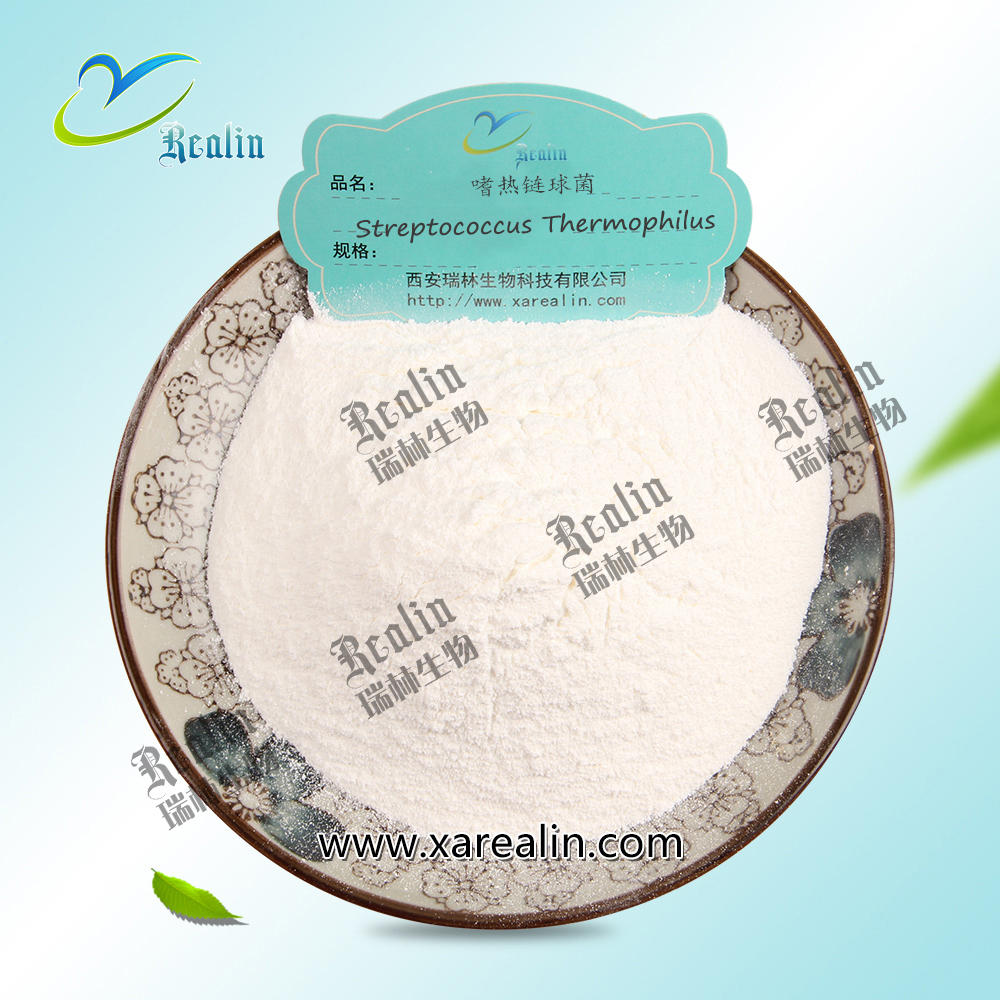 Functional Supplements Food Feed Additives Probiotics Powder Streptococcus Thermophilus