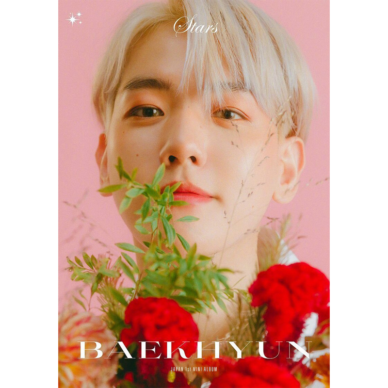 Оптовая продажа клейких наклеек Kpop EXO Baekhyu