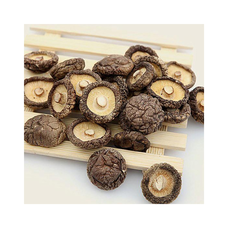 Wholesale High Quality Whole Shape 4-6cm Thick Flesh Snack Shiitake Mushroom