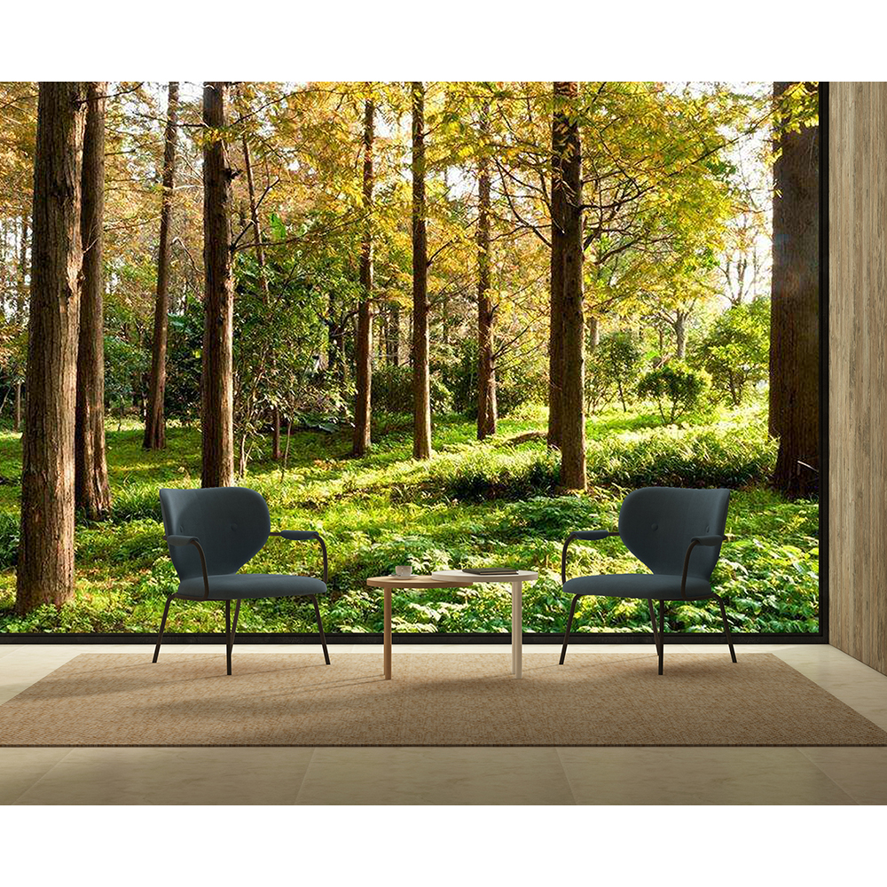 Luxury Cheap Nordic Modern Wholesale Stainless Steel Lounge Accent Furniture Living Room Chairs