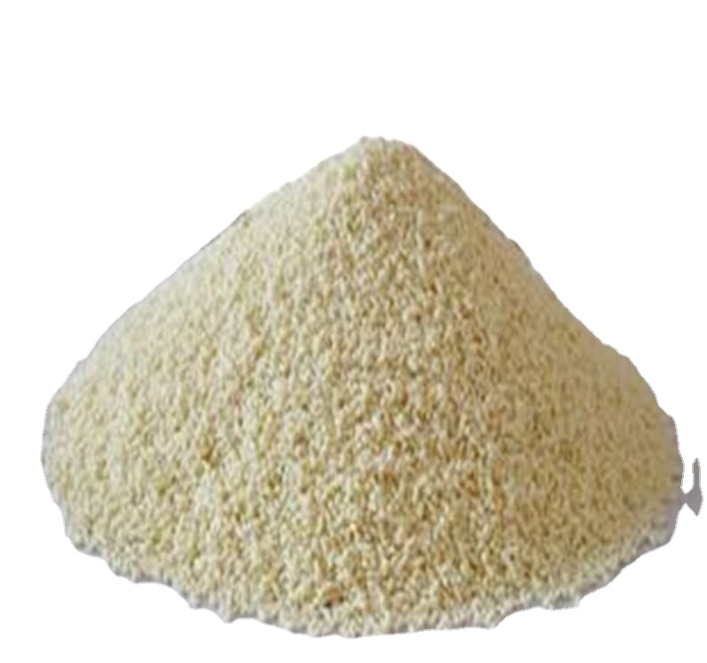 Everest China Chicken Masala 100 Gm Pack Available for Bulk Export