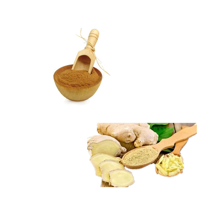 black ginger root wholesale ginger powder organic ginger root powder