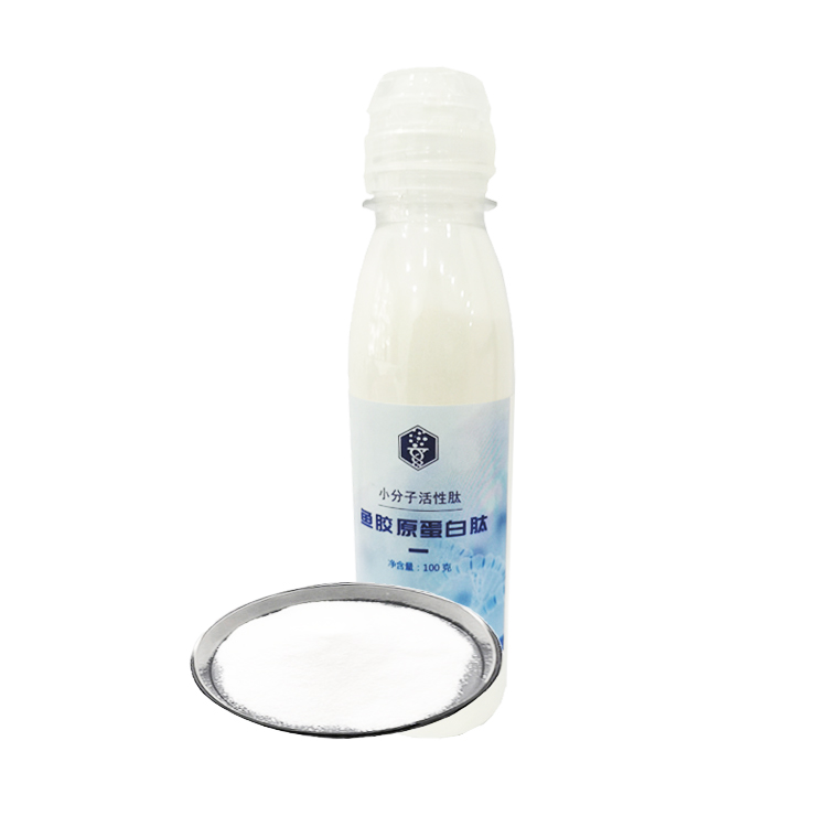 Powder Halal Peptide Marine Colagen Wholesale Protein Hydrolyzed Fish Collagen In Bottle