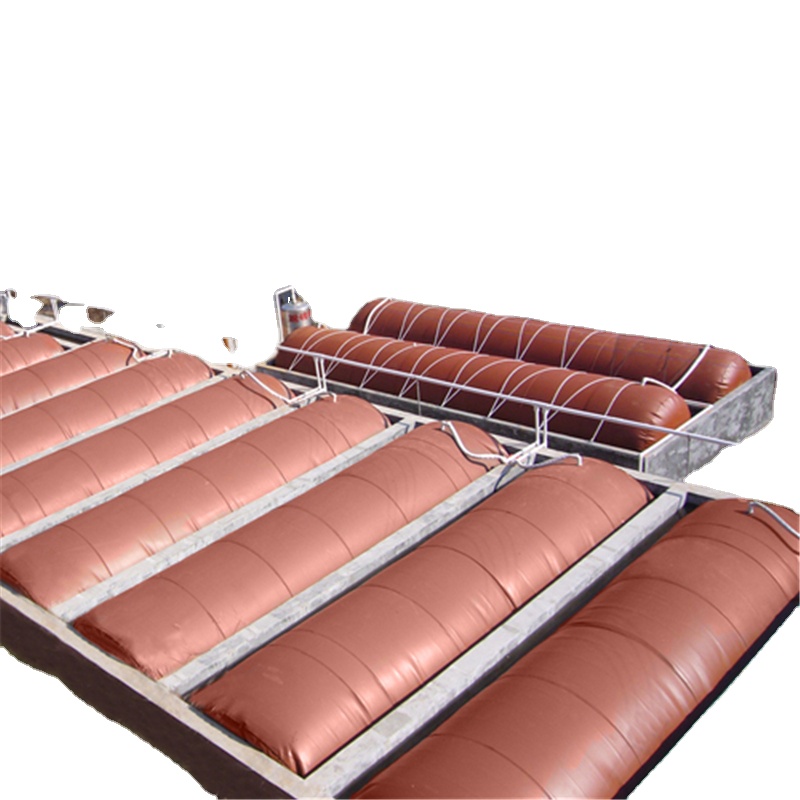 Organic anaerobic digestion biogas power plant biogas storage bag