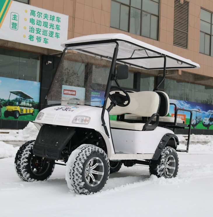 China Supplier Professional 4 Person Off Road Gasoline Hunting Golf Cart For Sale