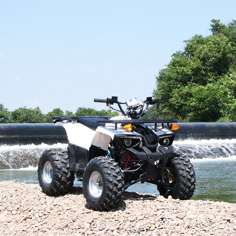 HDMP 125CC 12V ATV 4x4 Цепной привод Водонепроницаемый модный 4-тактный прочный квадроцикл ATV для взрослых