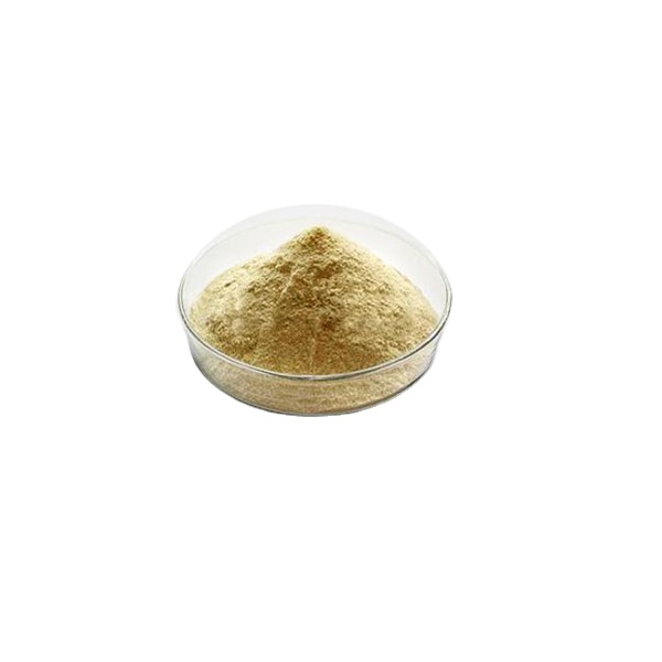 100% Natural ginger extract / wild ginger extract/ gingerol