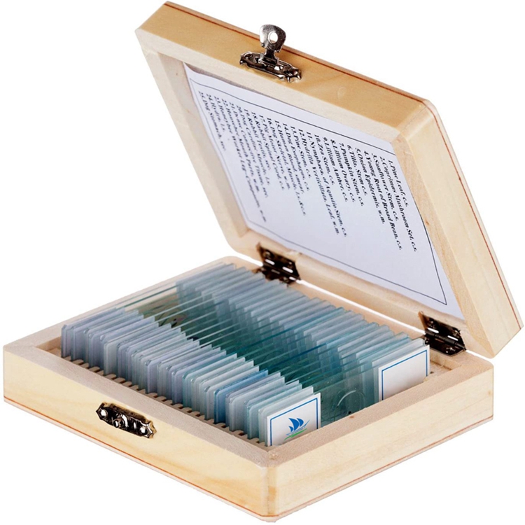 Mixed 25pcs glass prepared microscope slides set on plant, animal, microbiology for Biology Education