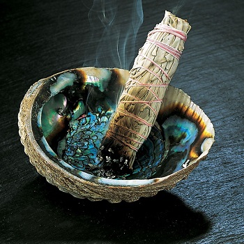 Factory Direct Sales Raw Abalone Shell Native American Smudge Ceremony Supplies