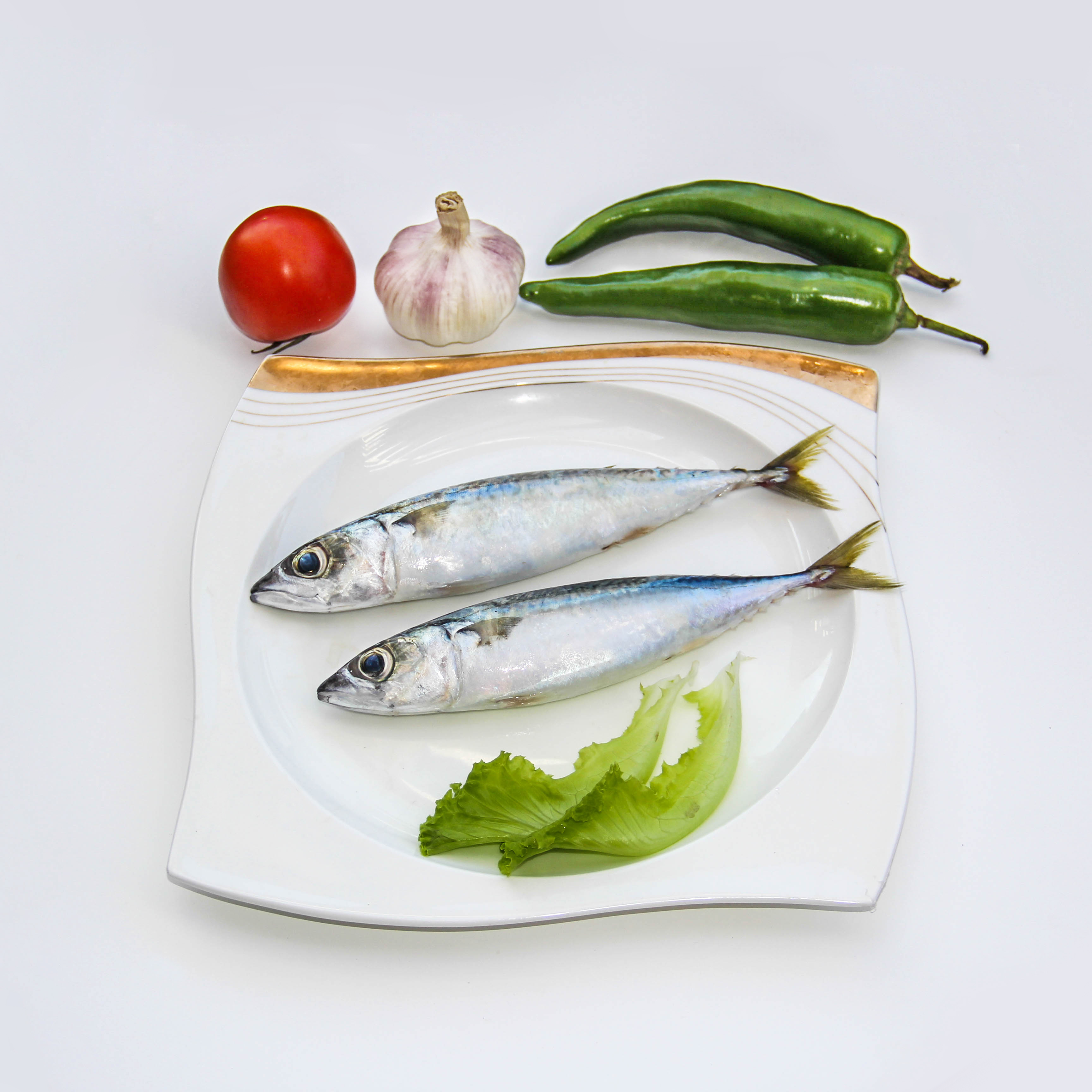 Скумбрия Chub/король скумбрия/морепродукты скумбрия