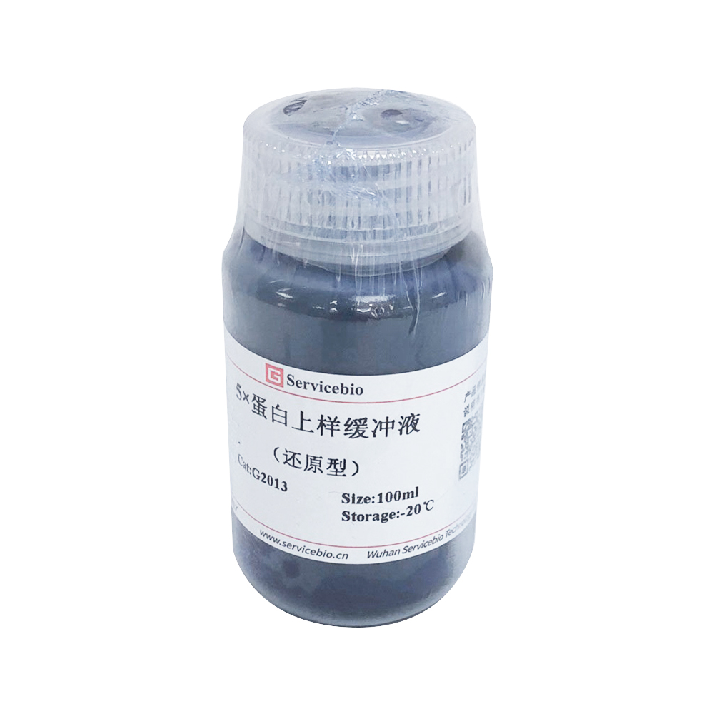 Authorized Lab Use Chemical Reagent 100ml Reduced 5*Protein Loading Buffer
