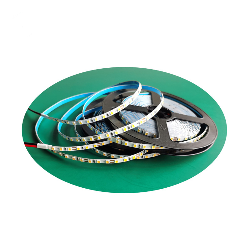 WISE Bath Mirror Luce 2835/3528 Led Strip Light Waterproof 4.8W/M 9.6W/M smd Strip Led