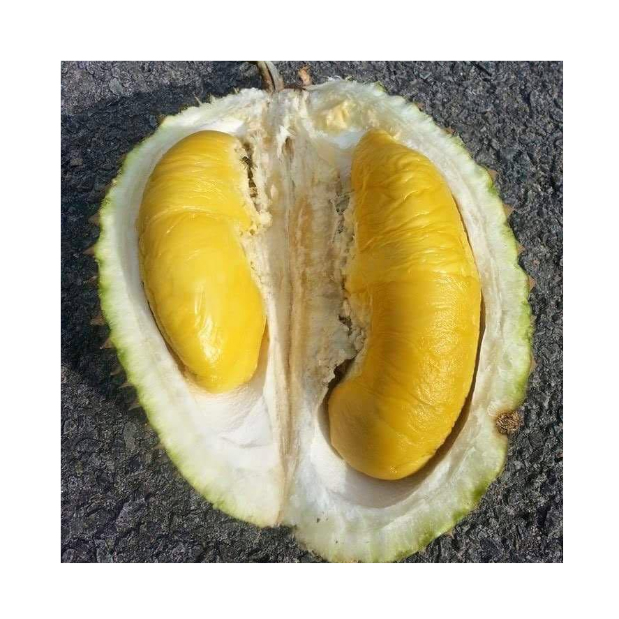 Горячая Распродажа, супер свежий замороженный фрукт Musang King Durian для экспорта