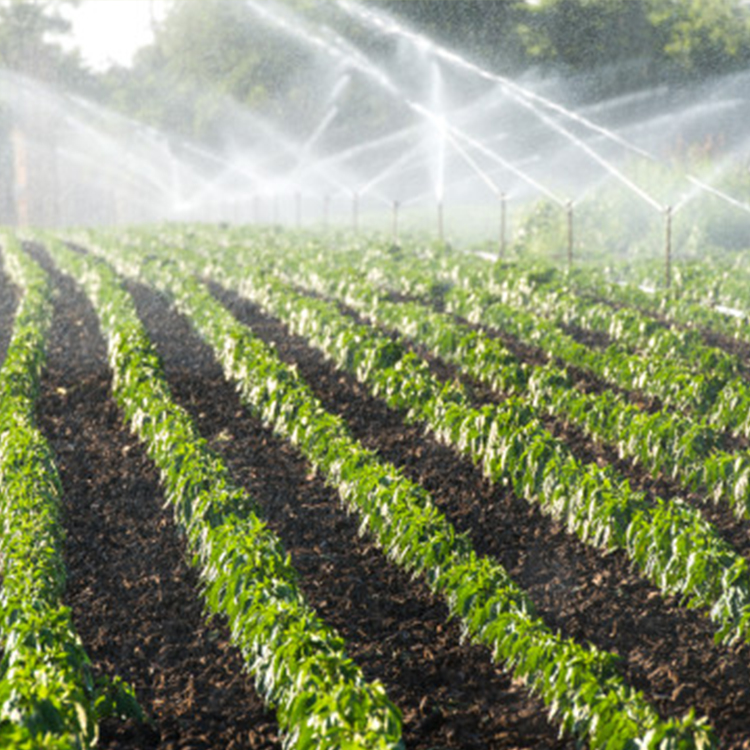 Automatic drip water spikes device houseplant watering solar sprinkler irrigation system sprinkler