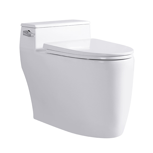 Сифон Flush, большой размер, R & T, спускной клапан для туалета, керамический Нижний резервуар для воды, туалеты