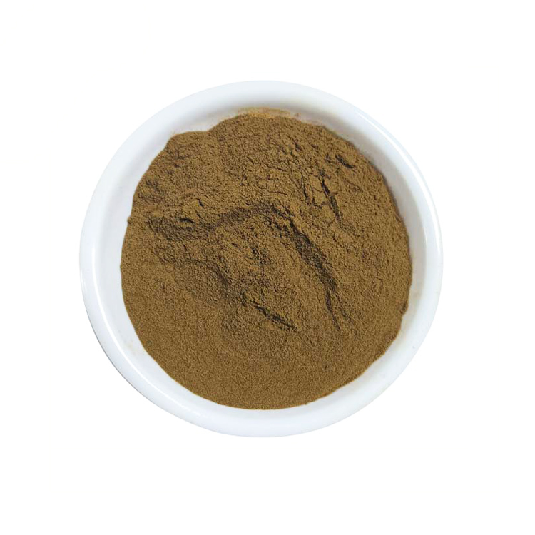High quality turkey tail mushroom extract powder