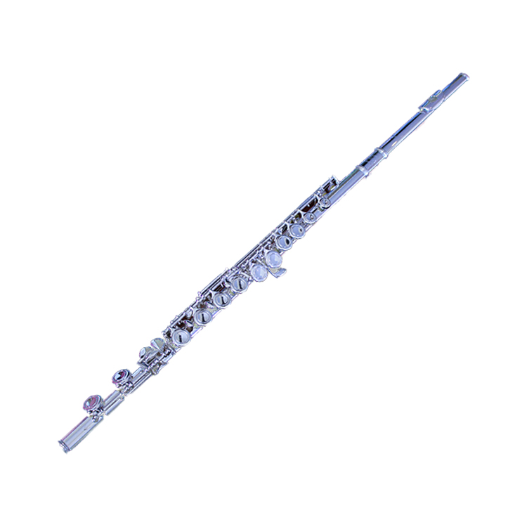 China Professional Manufacture C Scale Flute Wholesale Luxury Flute