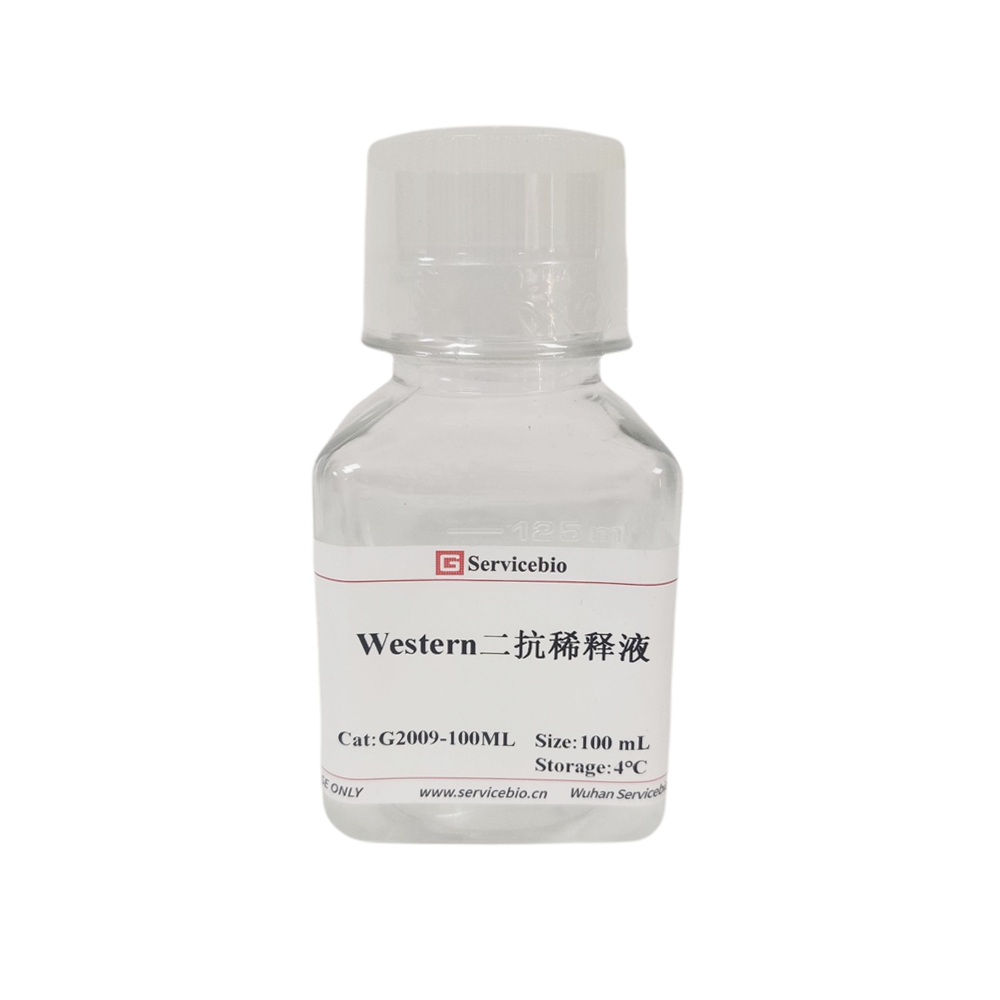 100ml Western Secondary Antibody Dilution Buffer
