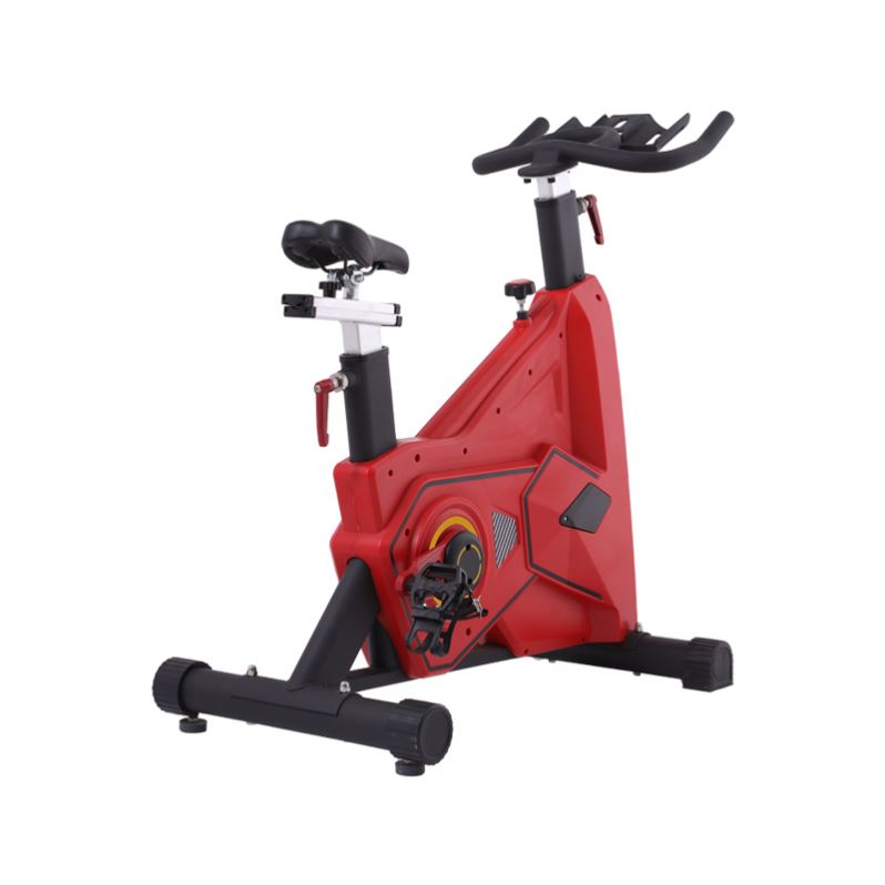 Professional Magnetic Silent Life Fitness Indoor Exercise Bike