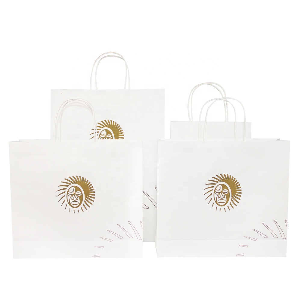 In Stock Kraft paper bag plant custom logo printing various size customization kraft paper bag with twisted handle