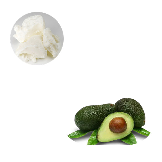 hair care products materials avocado butter anti-oxidant avocado butter price
