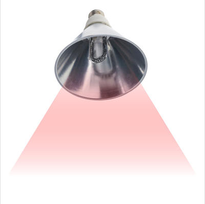 High Quality Infrared Animal Lamp AC120V 220V Provide Warmth For Animal