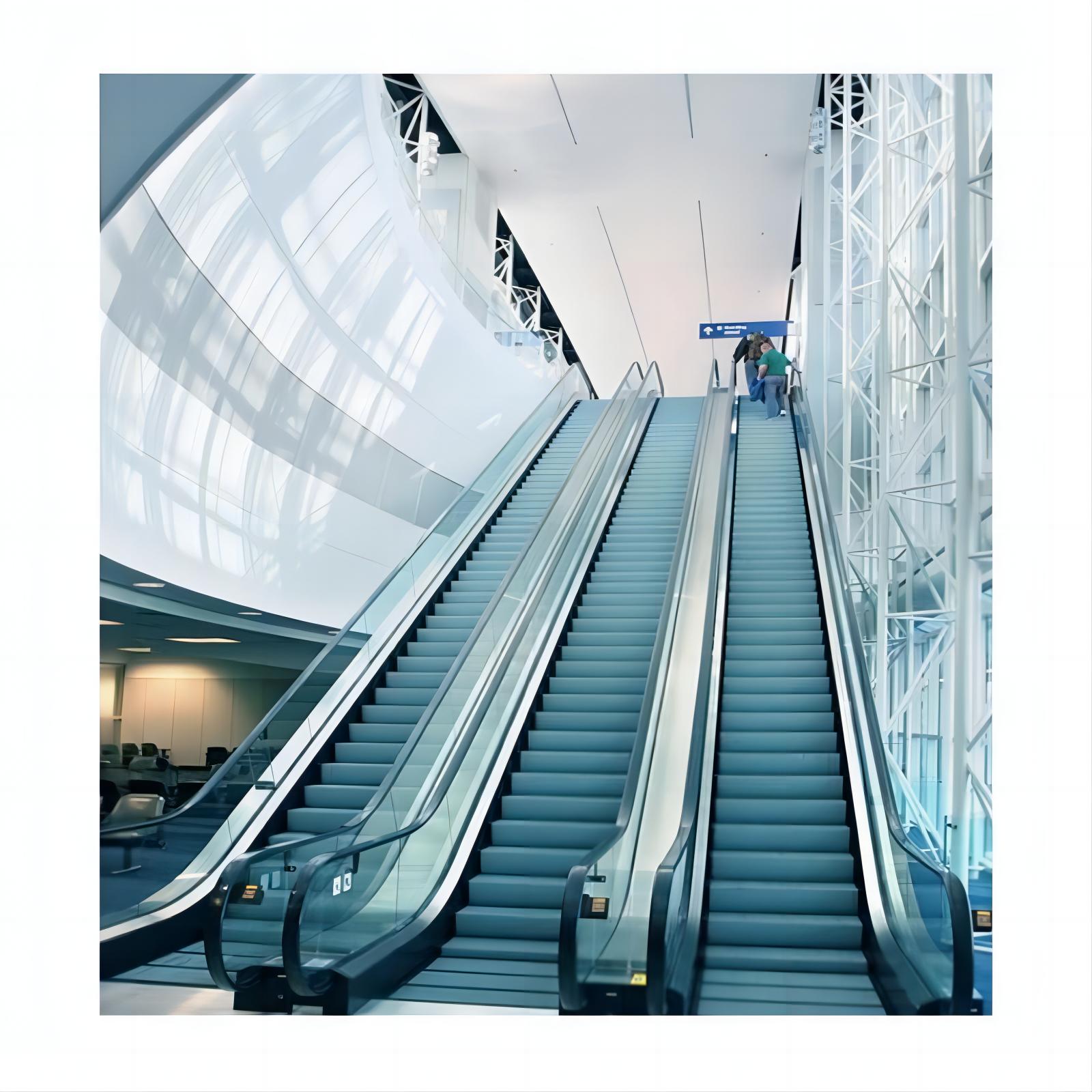 GOTS elevator shopping mall hospital escalator spare parts moving walks for lift
