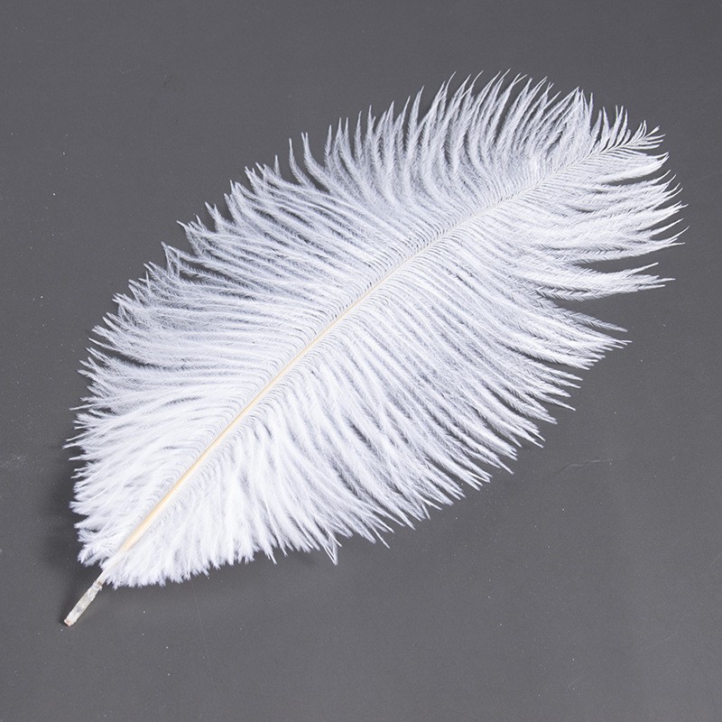 20-80cm High Quality Ostrich Feathers drabs Decor Feather White Feather For Carnival Costumes DIY Arts craft