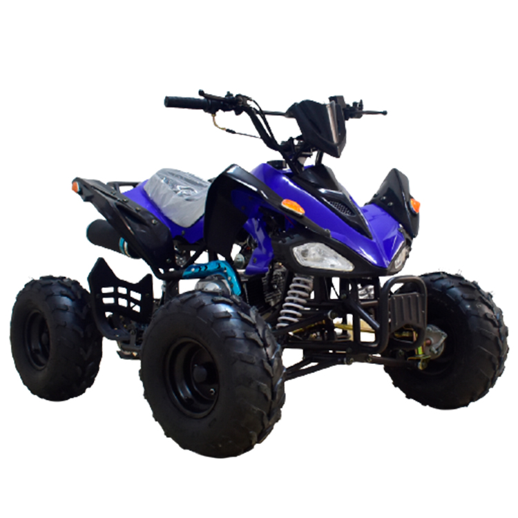 Selling well around the world cheap atv for sale 110cc single cylinder air-cooled 4 stroke 4 Wheeler atvs trailer