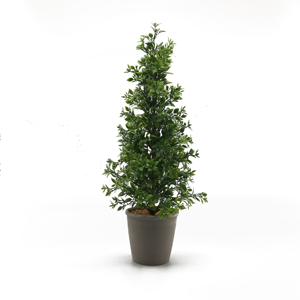 Бонсай мини зеленое стекло для сада Podocarpus Macrophyllus листва растения внутреннее украшение