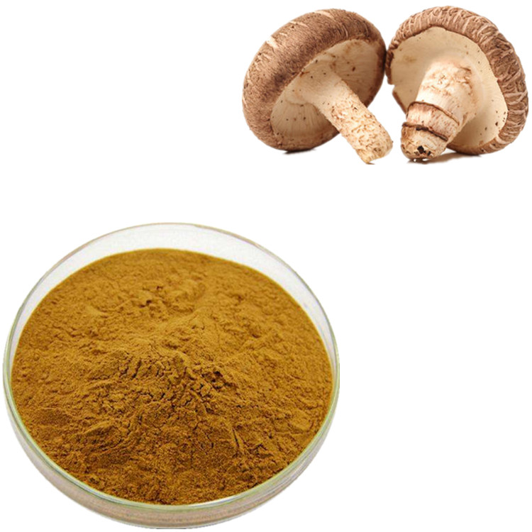High quality pure natural shiitake mushroom extract powder 1kg price free sample