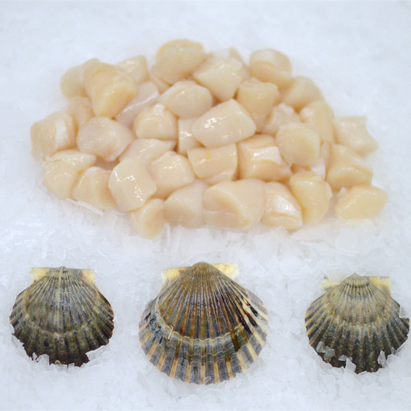 Замороженное Лавровое гребешковое мясо всех размеров (Argopecten Irradians)