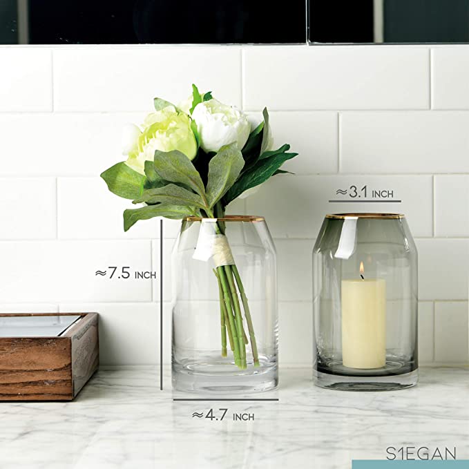 Champagne Ion Finished Glass Table Vase for Home Decoration