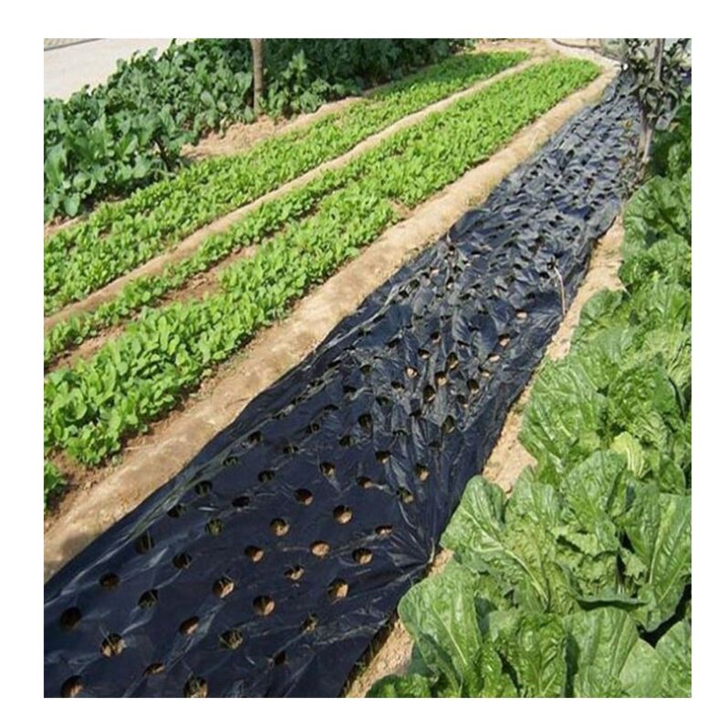 Punching hole reflective mulch film,30 micron black silver weed barrier mulch sheeting,1.2*500m agriculture poly plastic film