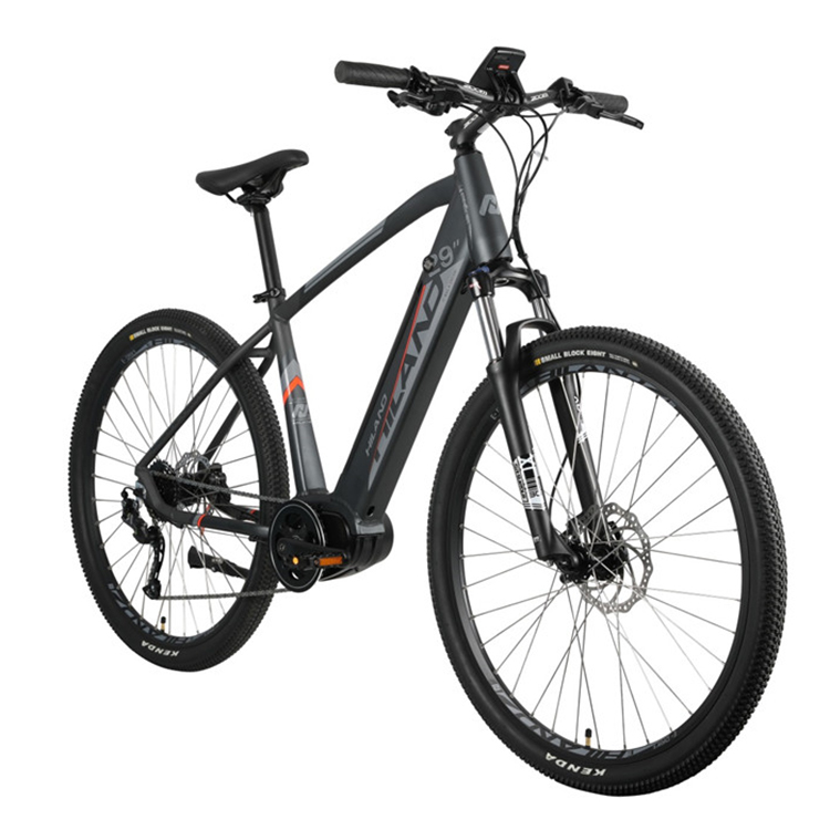 JOYKIE Китай 250 Вт 500 Вт 750 Вт 1000 Вт Средний приводной центральный двигатель 29 дюймов Электрический горный велосипед