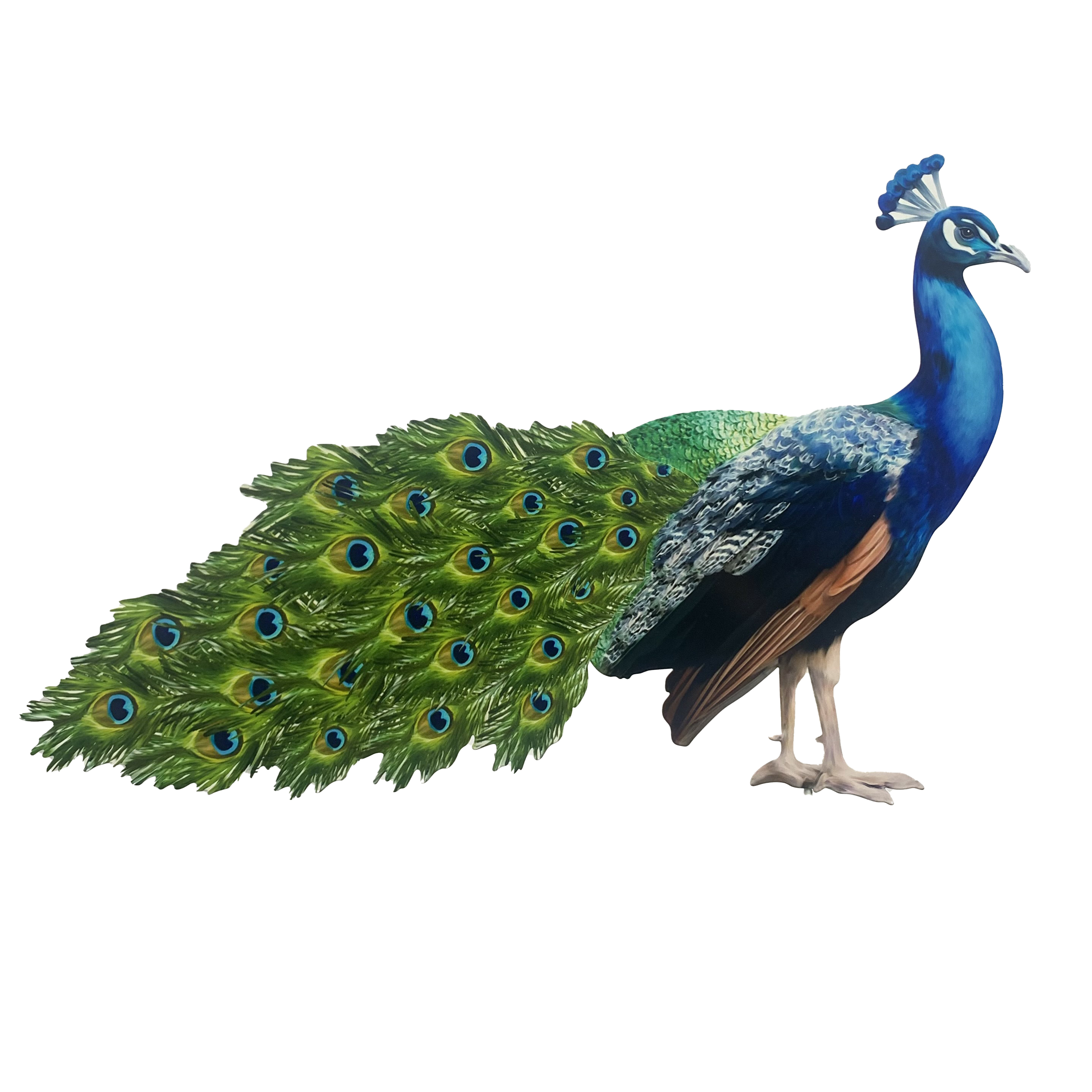 realistic outdoor garden decoration metal peacock stake