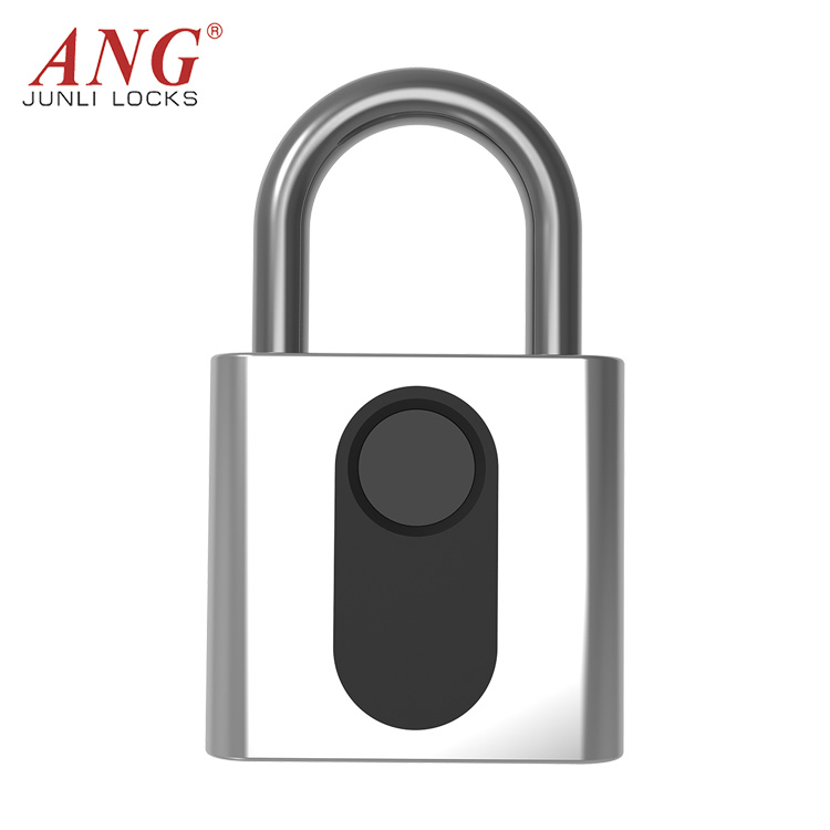 Professional Manufacturer IP66 Waterproof Electronic Fingerprint Zinc Alloy Smart PadLock