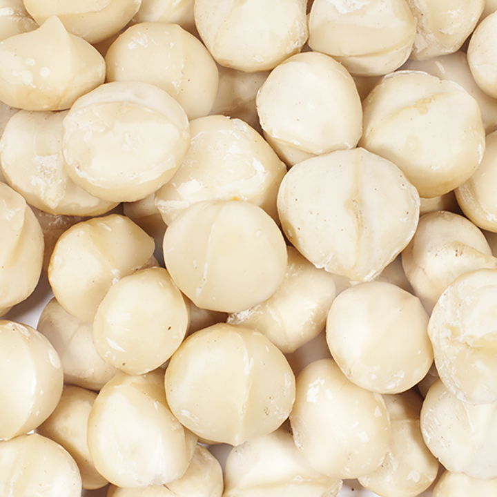 Wholesale Bulk Natural Organic Macadamia Nut Grade 1 Delicious Premium Quality Food Dried Raw Processing Competitive Price
