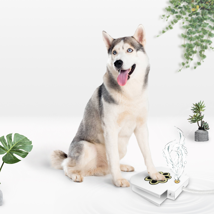 ELS Upgraded Stainless Steel Step On Push Pedal Outdoor Pet Dog Water Fountain
