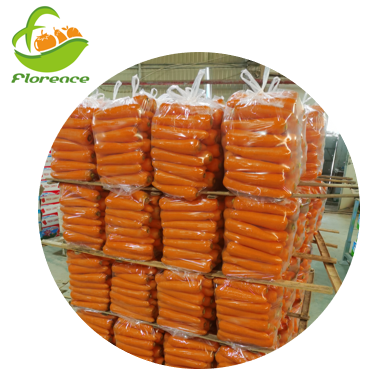 Hot Sale Sweet Carrot Fresh Carrot from China