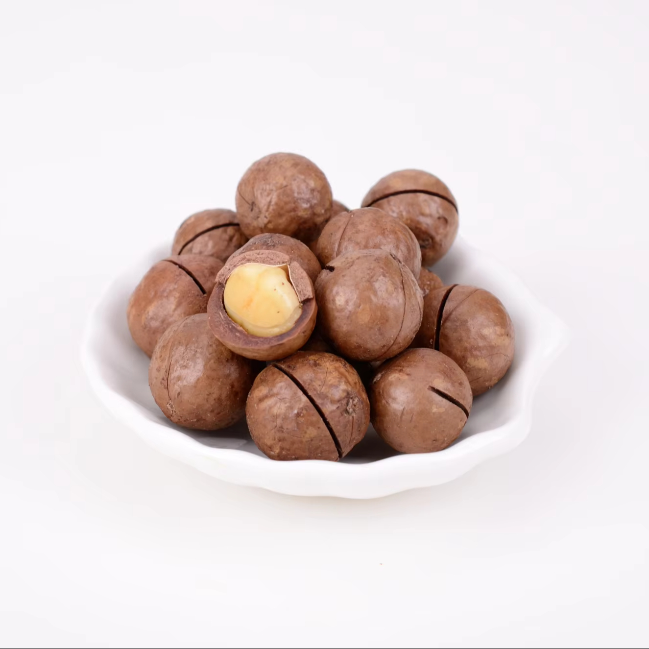 Macadamia nut shell quality Regular Open 22-25mm shell cracked macadamia nut market's most