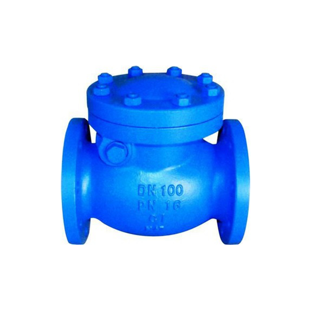 DIN PN16 ковкий чугун двойной фланец обратный клапан DN100