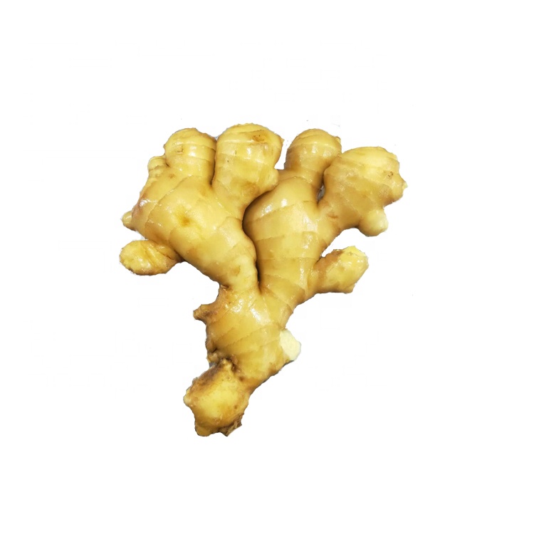 Ginger fresh organic ginger newest crop best quality professional export anqiu fresh ginger