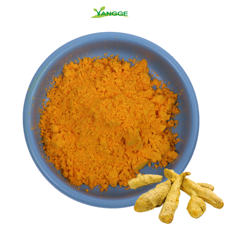 Organic Curcumin 95 powder Curcumin water solubl e100