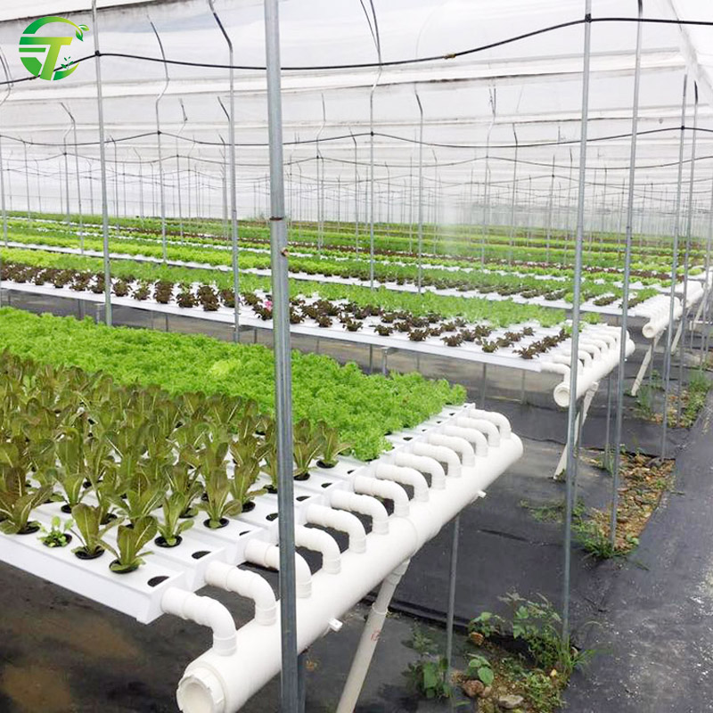 Вертикальная гидропонная система выращивания Aquaponics NFT