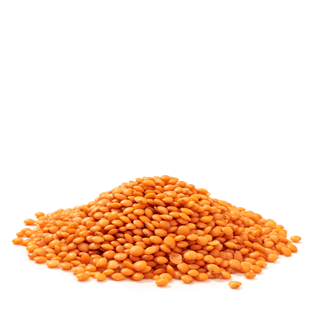 Masoor Dal ореховые орехи, Пищевая Фабрика, LLCSplit Красная чечевица, оптовая продажа, Органическая сушеная фасоль, красная чечевица