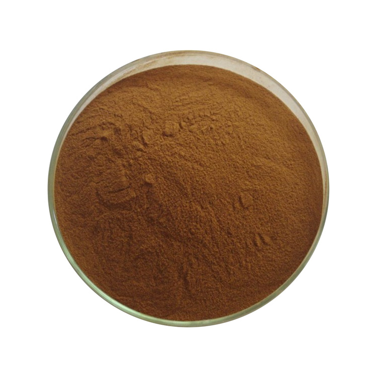 High Quality Pure Natural Organic Red grape vine extract Vitis vinifera L.