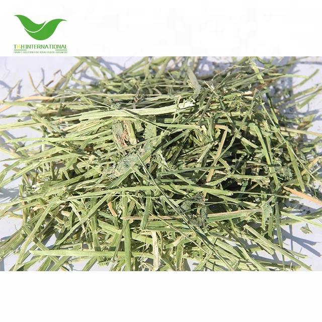Alfalfa hay High Quality for Animal Feeding Cattle Horse Cow Pets