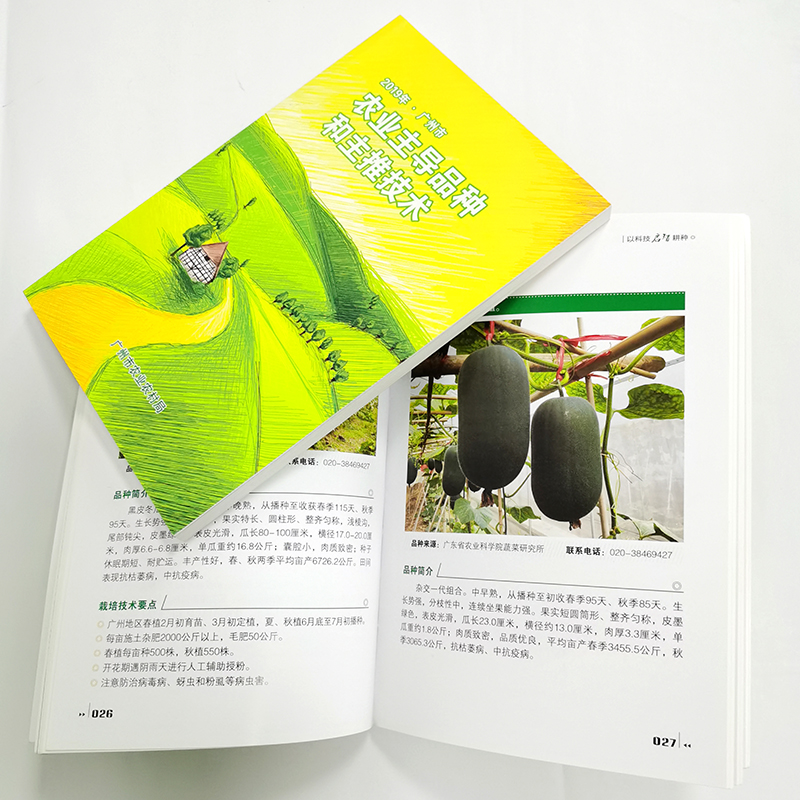 Служба печати, раскраска на заказ/печать книг в твердом переплете/брошюра компании