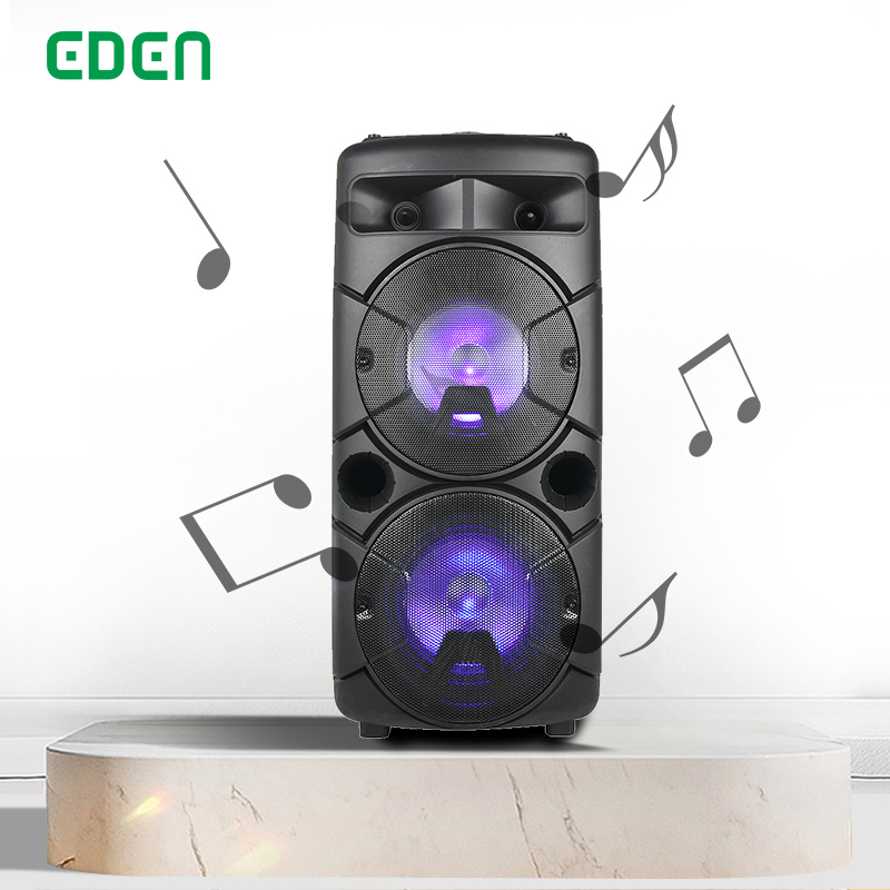 EDEN Dual 6,5 дюймов, горячая Распродажа, Портативный активный BT FM-радиоприемник, профессиональная аудиосистема, мультимедийный динамик для вечеринки, диджейская коробка